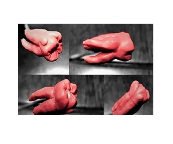 موم مورفولوژی