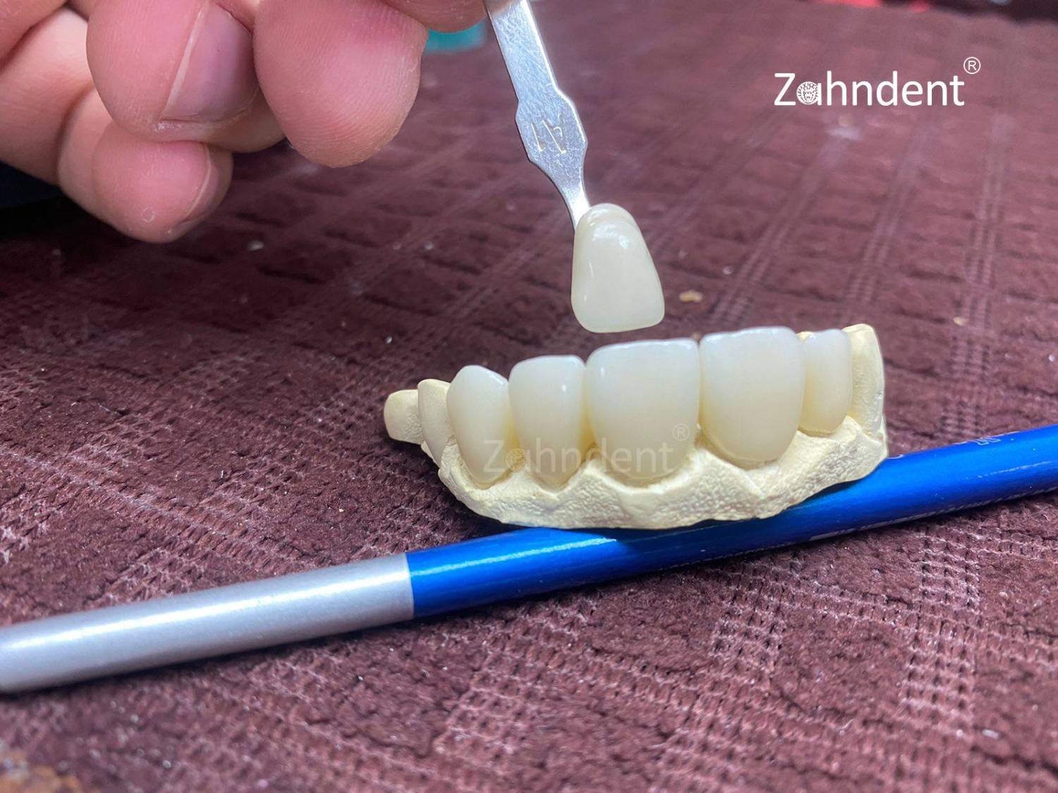 مایع رنگ آمیزی زیرکونیا ZAHNDENT