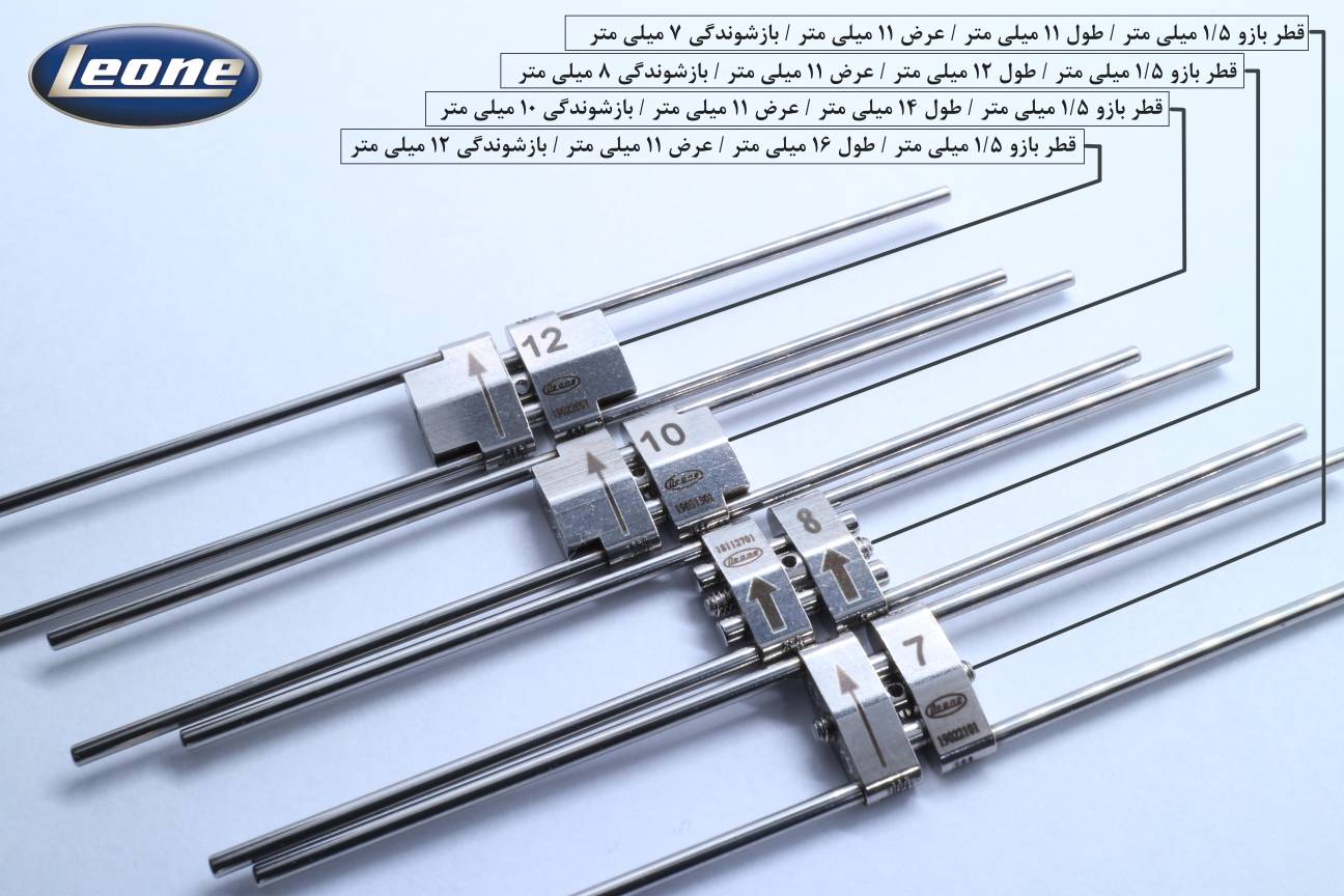 پیچ هایرکس لئون Leone